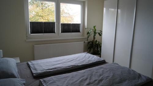 Ferienwohnung Schauf 2 Dahme allemagne