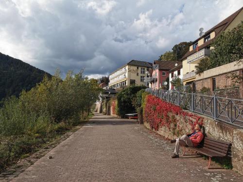 Ferienwohnung Schiff Neckarsteinach allemagne