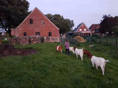 Séjour à la ferme Ferienwohnung Schipmann Dorfstr. 26 Krempdorf
