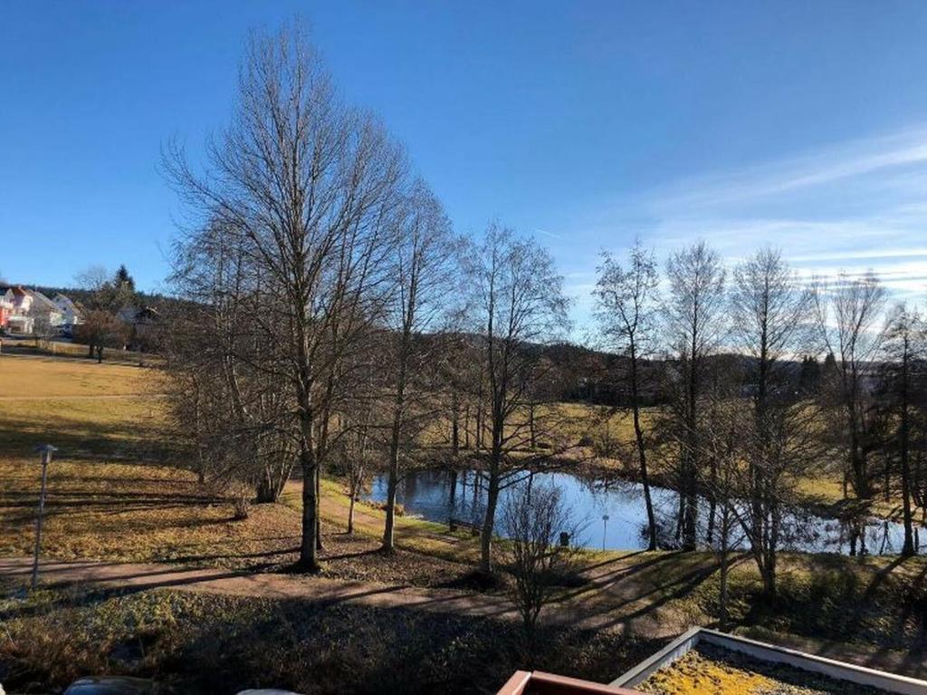 Appartement Ferienwohnung Schluchseetraum im Kurhaus 3 Am Riesenbühl, 79859 Schluchsee