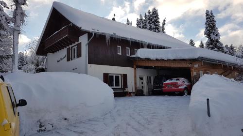 Appartement Ferienwohnung Schmidt im Haus Elisabeth 7 Schulstraße Feldberg