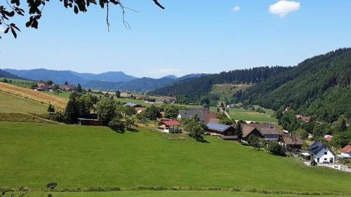 Appartement Ferienwohnung Schöner 2 Mühlenweg Oberharmersbach