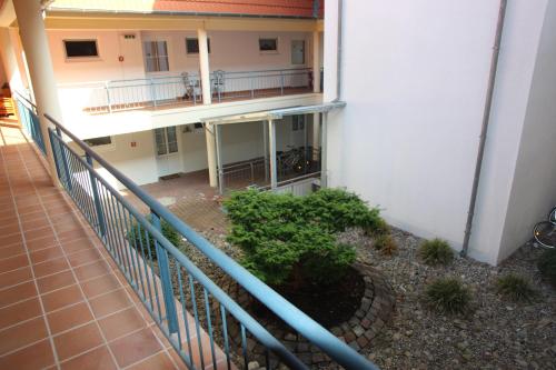 Appartement Ferienwohnung Schönfeld auf Fehmarn Schlagsdorfer Straße 10 Petersdorf auf Fehmarn