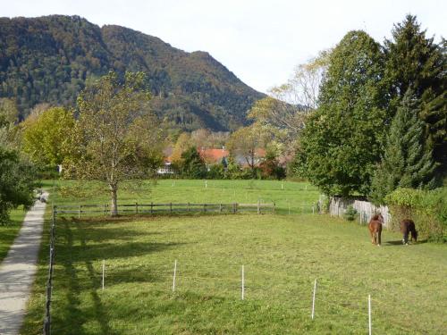 Appartement Ferienwohnung Schreiner-Viehhausen Viehhausen 9 Grassau