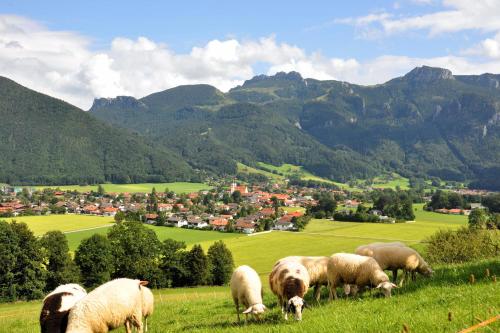 Ferienwohnung Schuster am Fellerer Aschau im Chiemgau allemagne