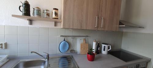 Appartement Ferienwohnung Schuur - Harz Rübeländer Weg Hasselfelde