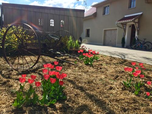 Ferienwohnung Schwalbennest-Großkoschen Großkoschen allemagne