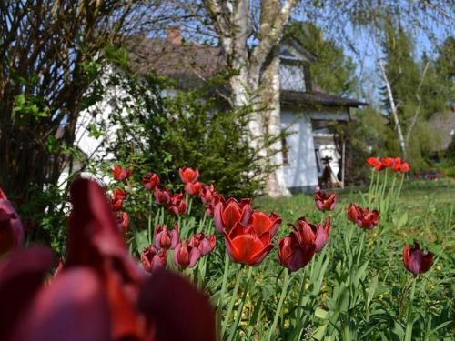 Appartement Ferienwohnung Seeliebe Am Ried 3 Radolfzell am Bodensee