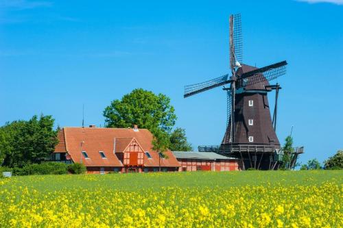 Ferienwohnung-Seestern Petersdorf auf Fehmarn allemagne
