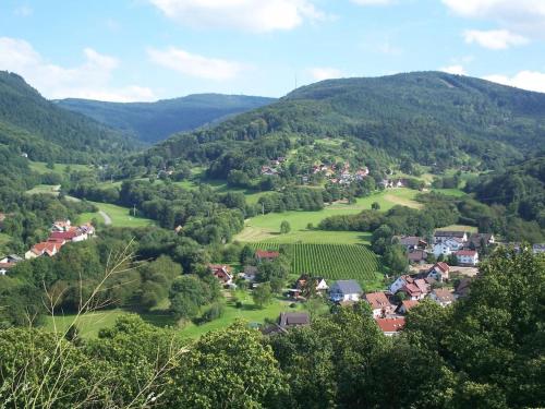 Ferienwohnung Serr Lauf allemagne