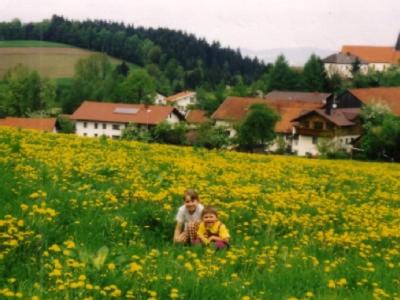 Ferienwohnung Sonja Prackenbach allemagne