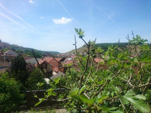 Appartement Ferienwohnung Späth 23 Kirchgasse Ramsthal
