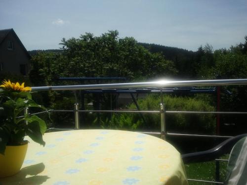 Appartement Ferienwohnung Steinbacher Mittlerer Weg 89a Amtsberg
