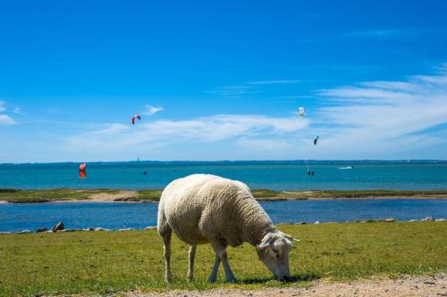 Ferienwohnung-Stinson-Beach Lemkenhafen auf Fehmarn allemagne