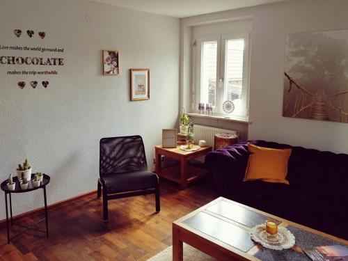 Appartement Ferienwohnung Südschwarzwald Steinenstraße 7 Wehr