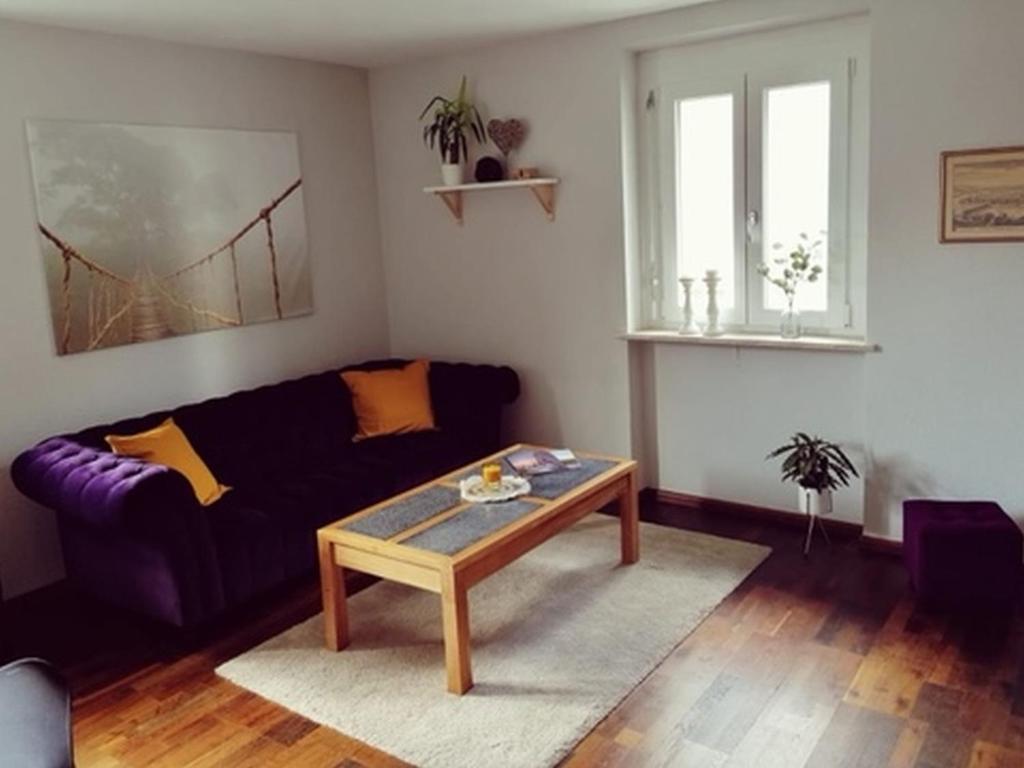 Appartement Ferienwohnung Südschwarzwald Steinenstraße 7, 79664 Wehr