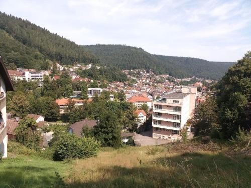 Appartement Ferienwohnung Tannenwald 28 Hohenackerstraße Bad Wildbad