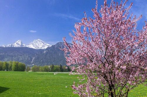 Séjour à la ferme Ferienwohnung Triembachhof Alte Königsseer Straße 12 Schönau am Königssee