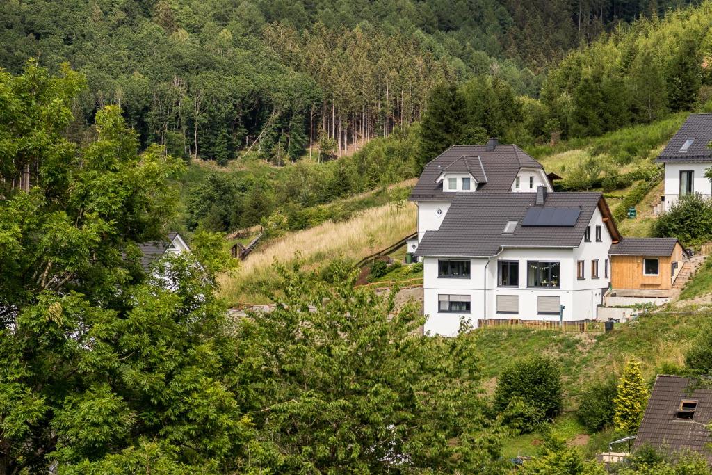 Appartement Ferienwohnung Vergissmeinnicht Sauerland 24 Oberer Taasberg, 57392 Schmallenberg