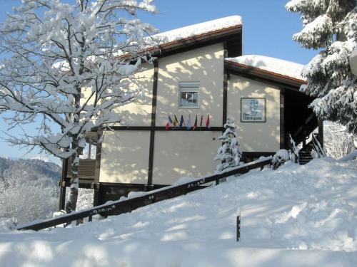 Ferienwohnung Vogel Siegsdorf allemagne