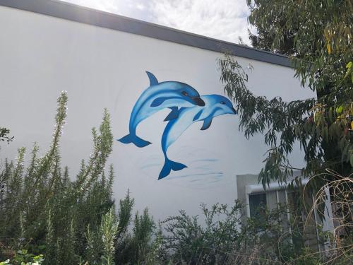 Appartement Ferienwohnung Vogesenblick Sonnhalde 22 Mahlberg