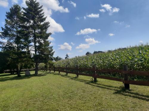 Ferienwohnung Wald und Weitblick Dreschvitz allemagne