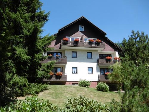 Ferienwohnung Waldblick Braunlage allemagne