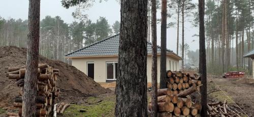 Ferienwohnung Waldzauber Borkwalde allemagne
