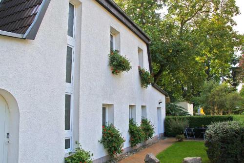 Ferienwohnung Waren SEE 5671 Kolonie Ecktanne allemagne