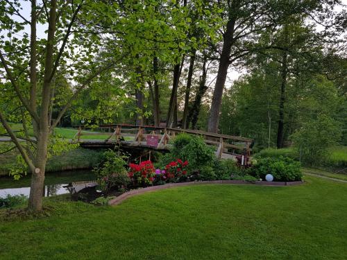 Ferienwohnung Wasserlilie Kolonie allemagne