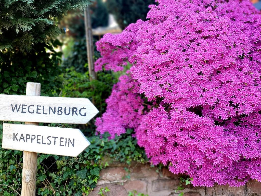 Appartement Ferienwohnung Wegelnburg im idyllischen Nothweiler für 2 Personen 8 Erzweg, 76891 Nothweiler