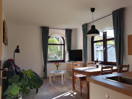Ferienwohnung Wegespinne Zwota allemagne