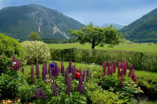 Ferienwohnung Weiß Ruhpolding allemagne