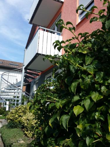 Ferienwohnung Wünsche Weißensberg allemagne