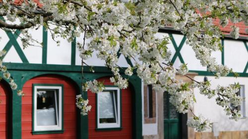 Ferienwohnung Zittauer Gebirge Jonsdorf allemagne