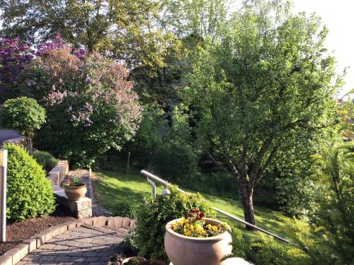 Appartement Ferienwohnung Zum Harpelstein 22 Rass Straße Horath