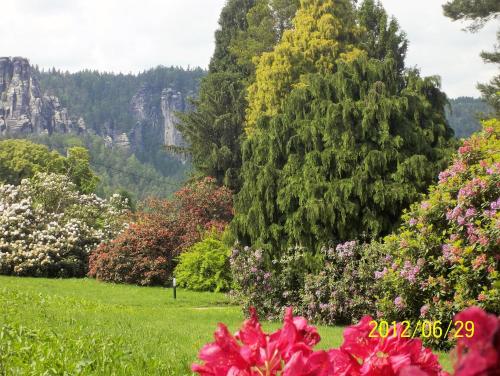 Ferienwohnung Zum Lilienstein Bad Schandau allemagne