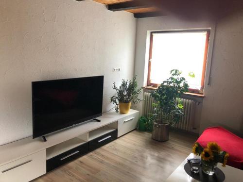 Appartement Ferienwohnung zur Sonnenterasse in Gersbach 9 Tiergarten Schopfheim