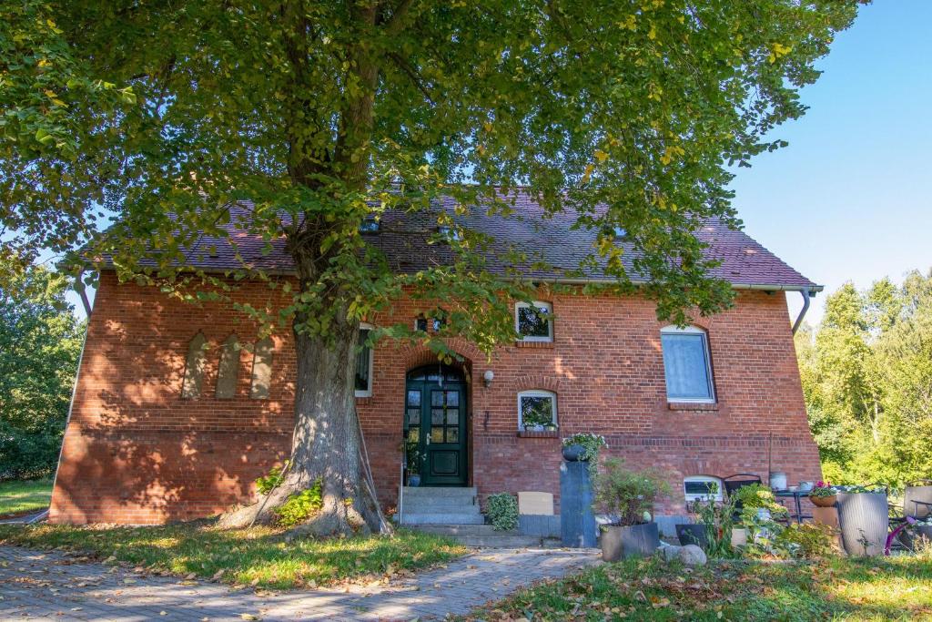 Appartement Ferienwohnung zwischen Wald und Strand Karl-Krull-Weg 1, 18445 Barhöft