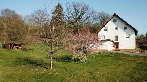 Ferienwohnungen \ Sachsenhausen allemagne