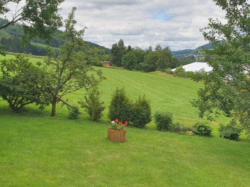 Ferienwohnungen am Finkenweg Bestwig allemagne