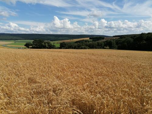 Ferienwohnungen Am Kapellenberg Losheim am See Losheim allemagne