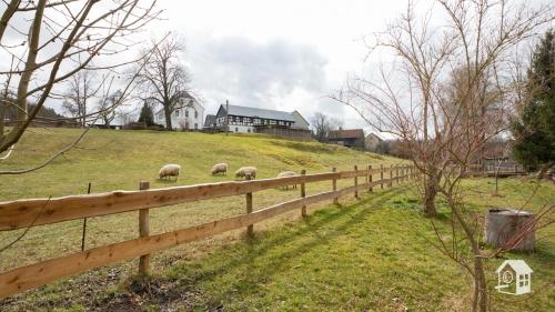 Ferienwohnungen am Schmalzbach Heinsdorfergrund allemagne