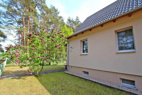 Ferienwohnungen am Wald _ Torgelow Torgelow allemagne