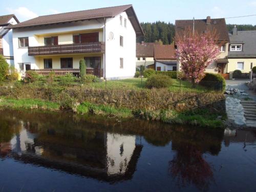 Appartements Ferienwohnungen An der Rodach Saunkel10 Steinwiesen
