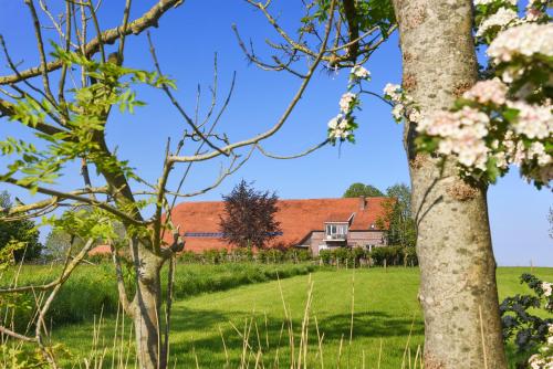 Ferienwohnungen auf dem Ferienhof an der Schafweide Werdum allemagne