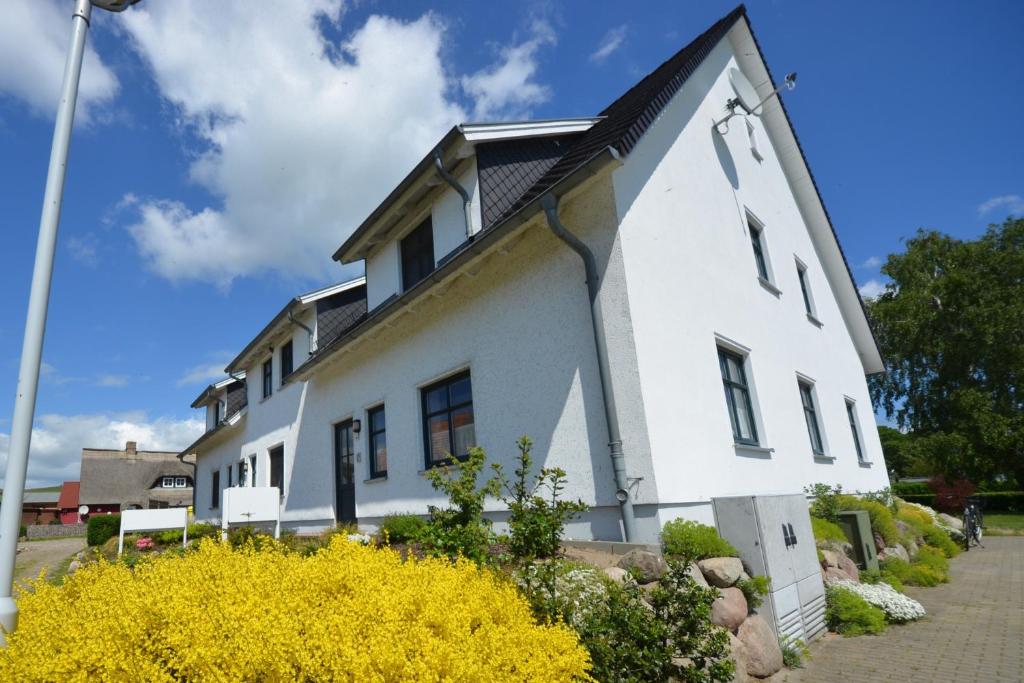 Appartements Ferienwohnungen Boddenstraße 55b 55B Boddenstraße, 18586 Gager