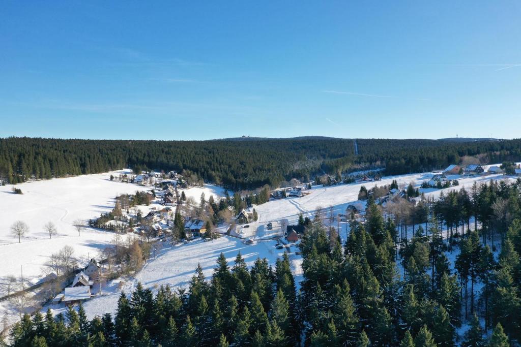 Appartements Ferienwohnungen Börnert Oberwiesenthaler Straße 7A, 08359 Tellerhäuser