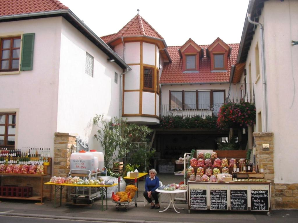 Maison d'hôtes Ferienwohnungen Dehn Weinstrasse 22/24, 67098 Bad Dürkheim