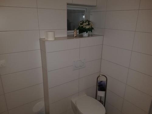 Appartements Ferienwohnungen Durgut Elzstr. 1 Ringsheim